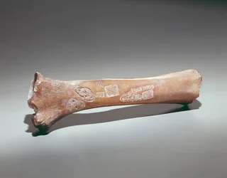 Pezzo di motivo, da Lagore, Contea di Meath